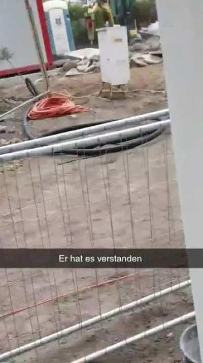 Österreichische Fachkraft