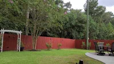 A Umbrella and Rain Is Heavenly....