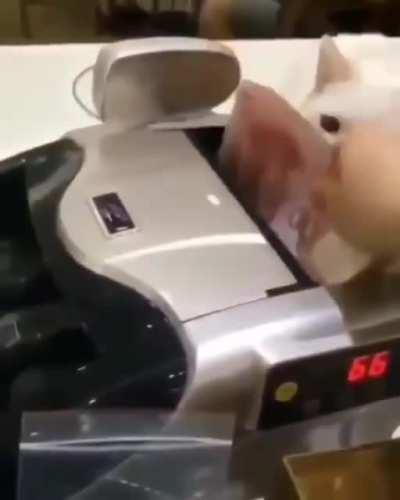 Someone has got to pay the bills