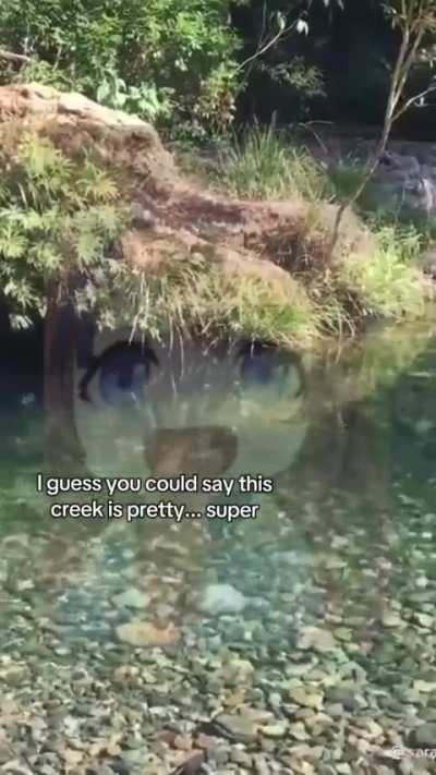 This video was created by Symboli Rudolf