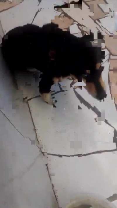 ESTILOZAP - Video #6679