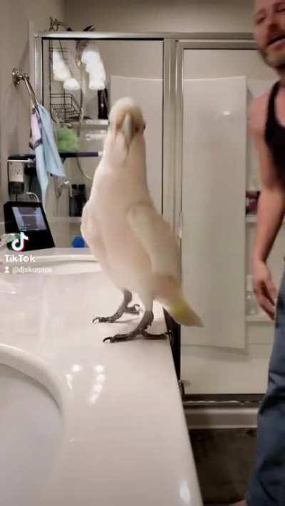 She loves the classics 😅