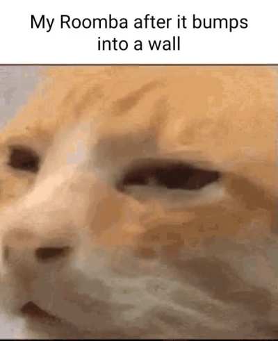 Does anyone use roombas anymore?