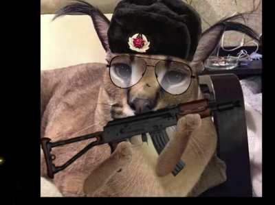 I made Big Floppa shoot an AKS-74-U (OC) also a repost cuz something went wrong