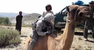 to ride a camel 