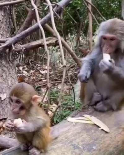 Such a great motherhood