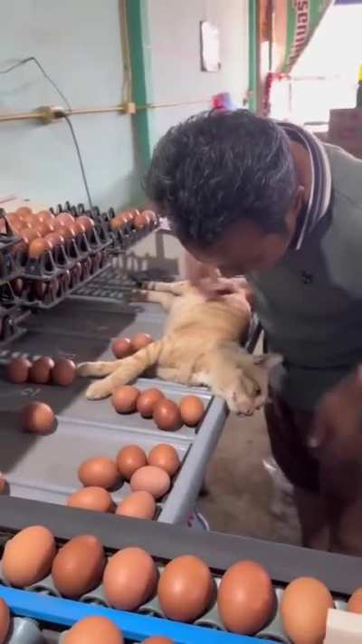 Sleepy lazy wunkus is loved immensely.