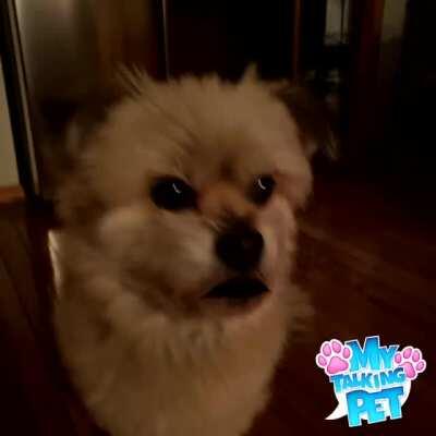 Off topic but my mom just sent me this without context