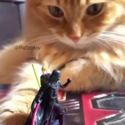 Happy Star Wars Day!