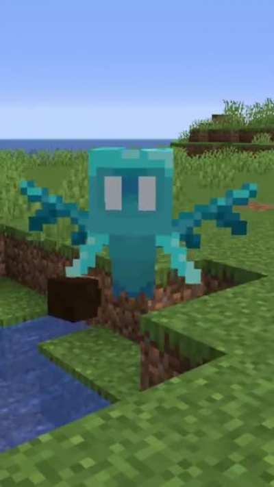 When I give an Allay a player head: