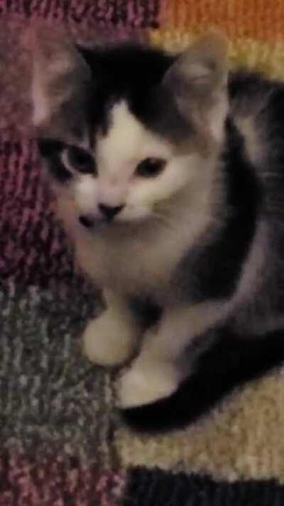 Someone want their breakfast this morning...