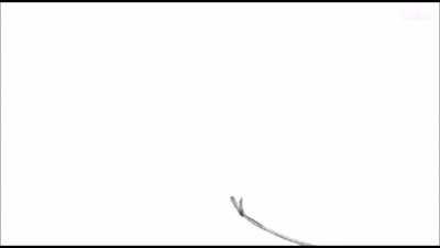 vaccine animation (not mine)