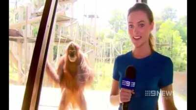 This thing has evil intentions. I’m telling y’all