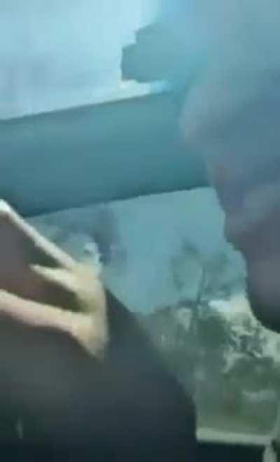 Pew pew pew pew 👀