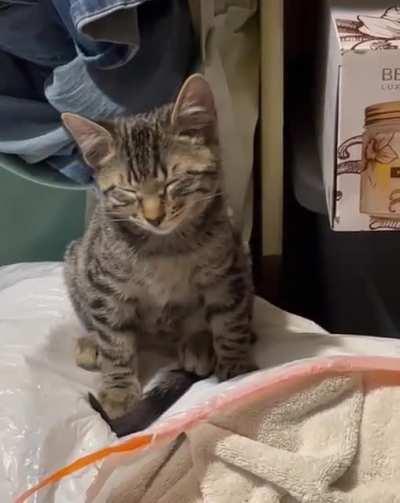 My 2021 model running out of charge.