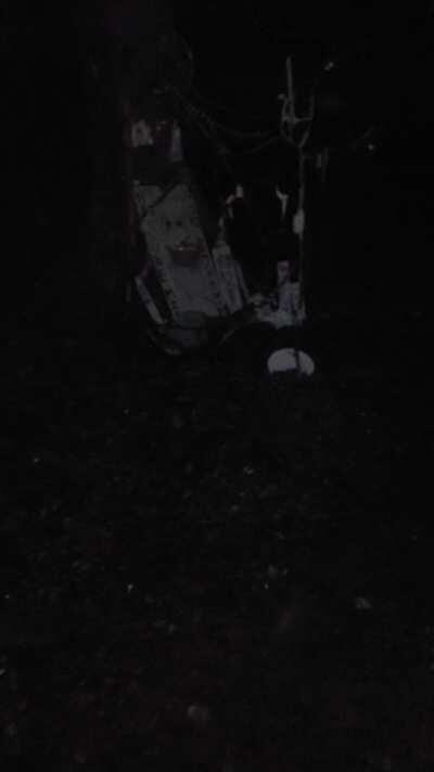 I found a Hatsune Miku shrine in the middle of the woods...