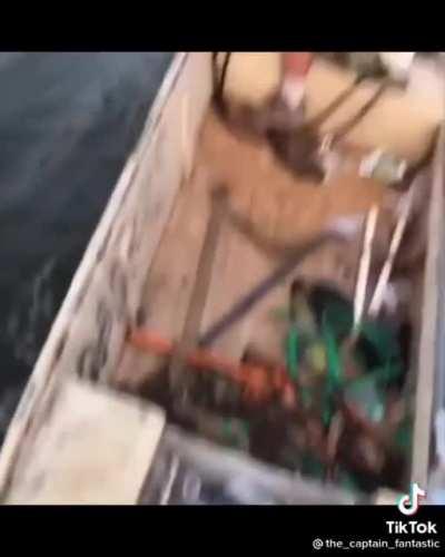 Boat rager decides to play bumper boats