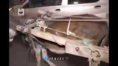 License dikhao isay 😂