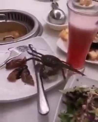 To make a run for it