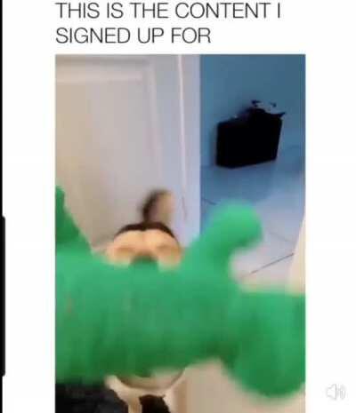 Someone pay attention to the dog!