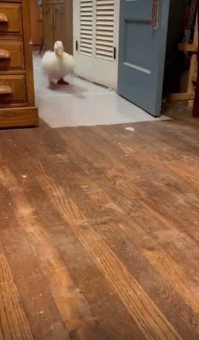 Ich mit 12 Jahren, wie ich meine neuen Laufschuhe im Nike Store ausprobiere