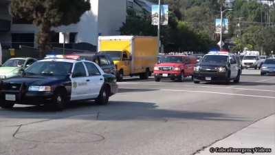 Tectone asked for this and I'm here to fullfil his wish. Are you proud of me tecdad