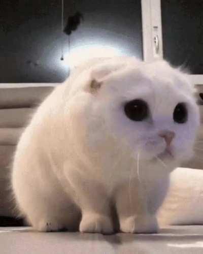 Me watching Katarina teleport around the board