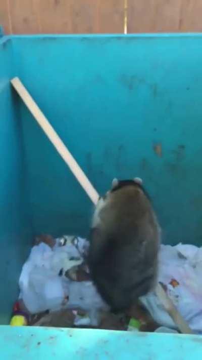 It Worked Out Much Better In My Head