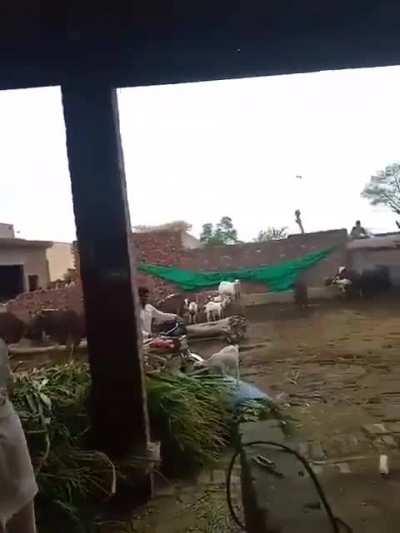 Creativity or Stupidity?