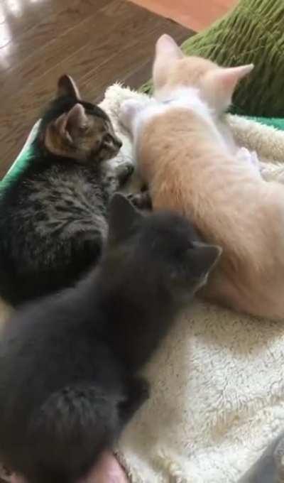 What you mean you won't let me in?