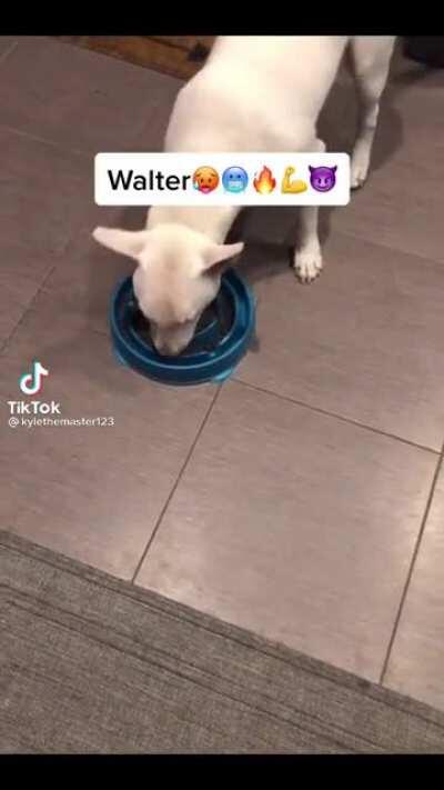 Walter doesn’t follow rules