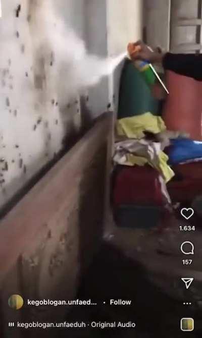 Thanks I hate infinite roaches