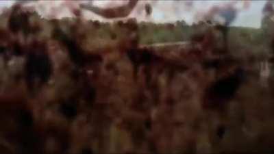 How to survive heli event in zomboid