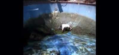 Walking down a slippery pool