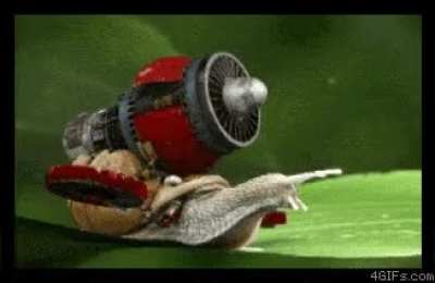 Snailformers: more than meets the eyestalk