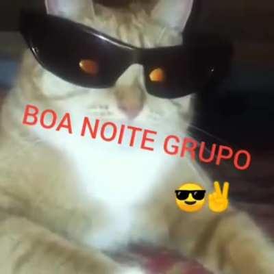 Boa noite! 😎🙏🏽 (cuidado q é um áudio estourado)