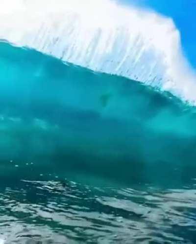 Might be a repost, if so then sorry