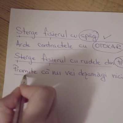 Ultimul mesaj al doamnei Firea ca primar general.