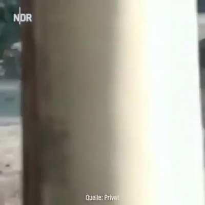 Ahhh cool let’s a closer loo…. AHHH SHIIIITT