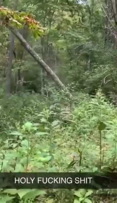 WCGW being unaware of your surroundings