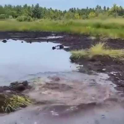 result of being too confident enough to not use odradek while doing order 42: