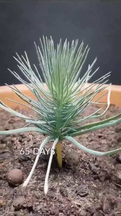 A two-year time-lapse into 60 seconds.