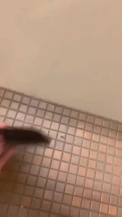 some people just want to watch the world burn