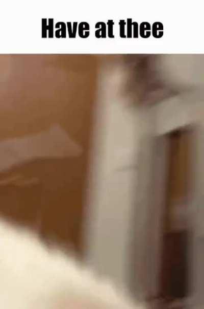 Ferocious creature on the attack