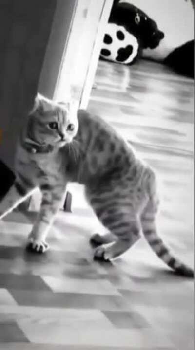 You tryna mess with me?