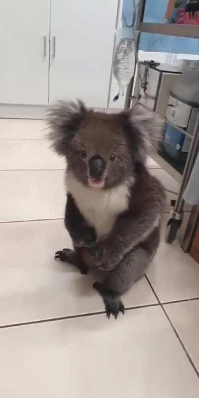 Чем-то недоволен