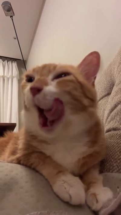 Hopefully our queen is satisfied with the feast