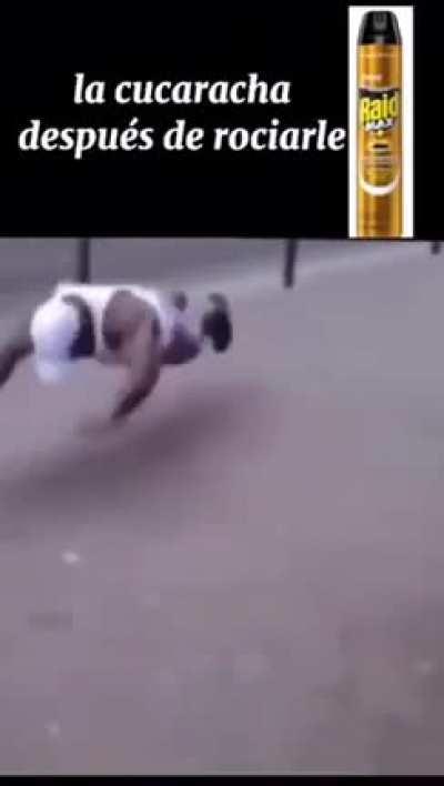 raid mejor energisante pa cucaracha