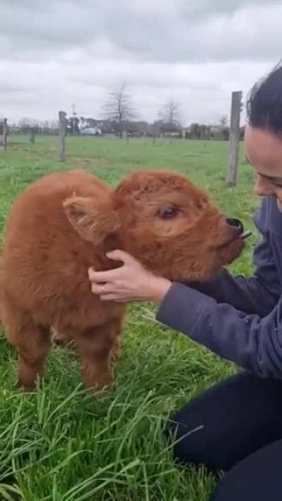 Forget horror games, look at this