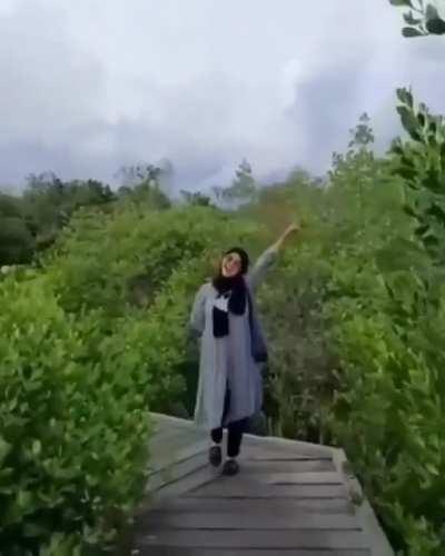 To walk backwards successfully